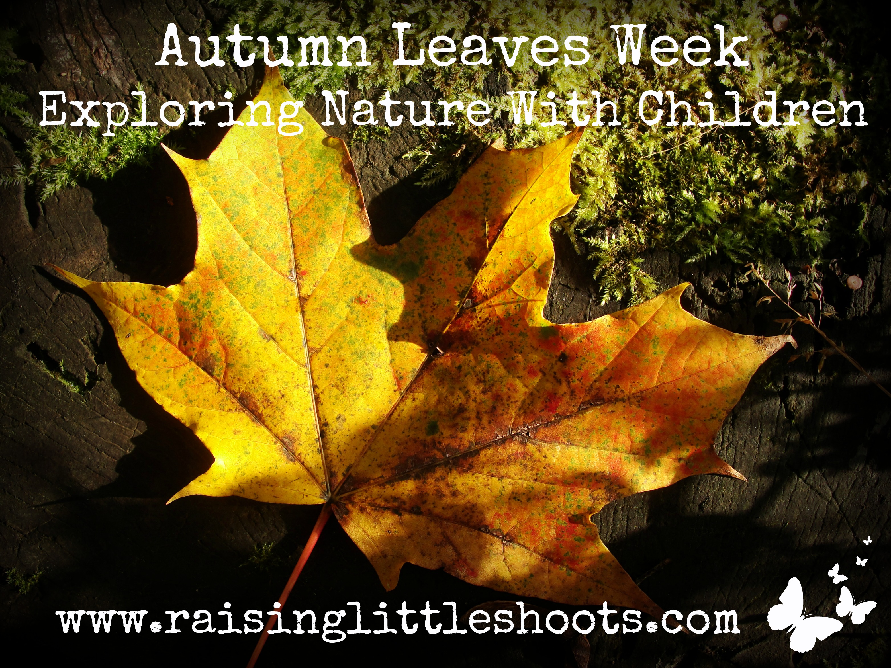 Exploring Nature With Children: A Guided Journal