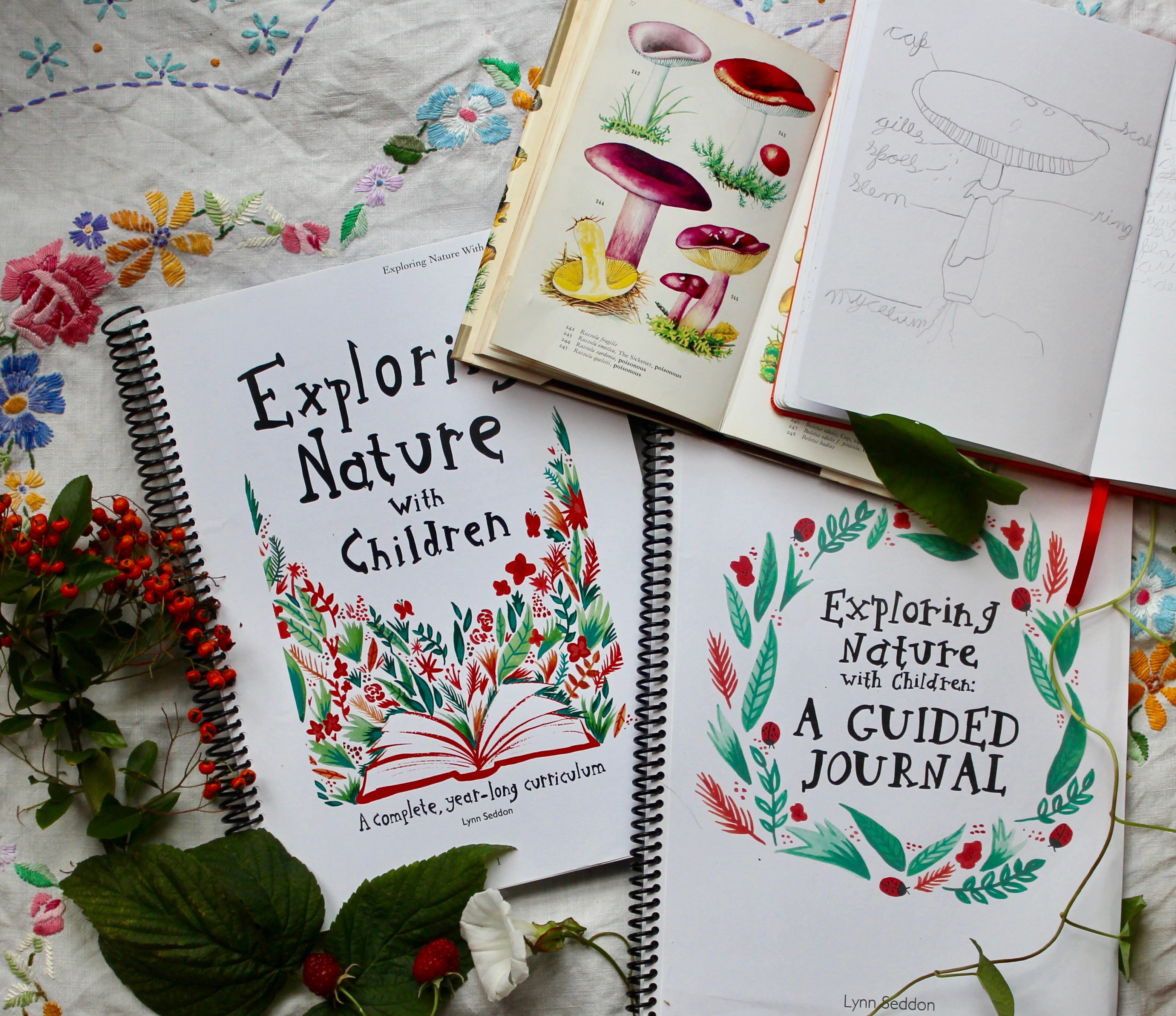 November Nature Notes